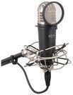 Samson MTR101A 1 Diaphragm Studio Condenser Microphone