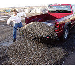 Loadhandler 2,200-lb. Capacity Pickup Truck Unloader