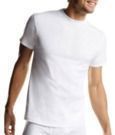 Hanes Men's Tagless T-Shirt 10-Pack