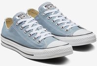 Converse Chuck Taylor All Star Seasonal Colors Low Top